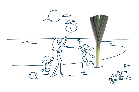 Cartoon family playing volleyball on the beach | Featured Image for the Midlife Financial Planning Page by Astute Brisbane Central.