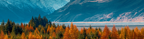 Banner of a lake with mountains in the background | Featured Image for Why Life Insurance Premiums are Increasing Blog by Approved Finance.